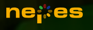 네패스1.png