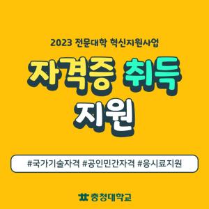 대체텍스트