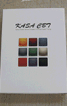 X-ray CBT(한매)