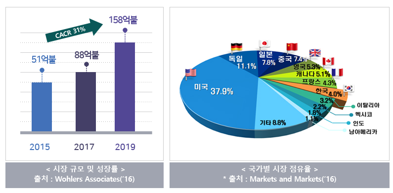 시장 규모 및 성장률 그래프,국가별 시장 점유율 그래프